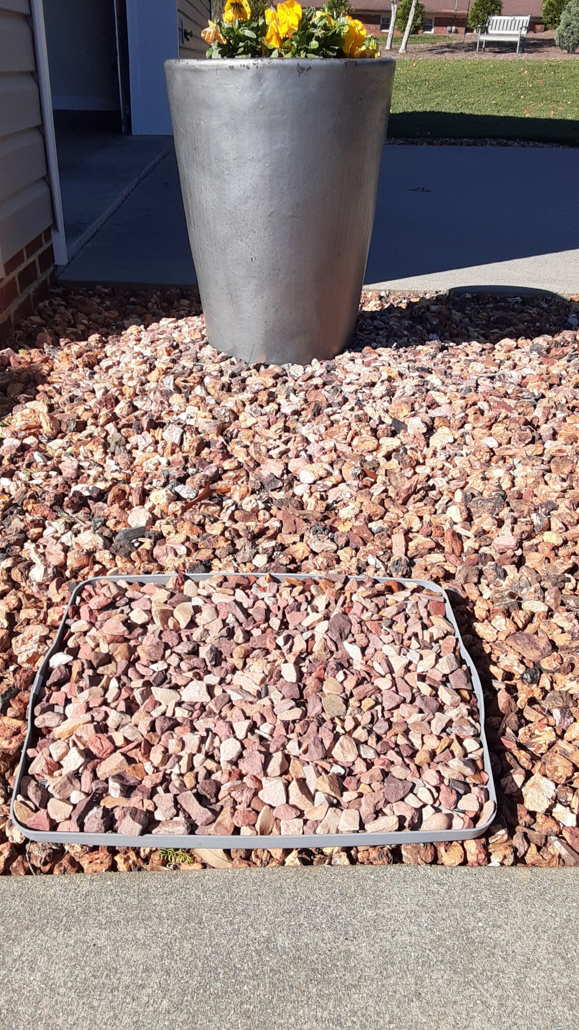 Rock-It Lite Restore Mix sample compared with an existing landscape bed